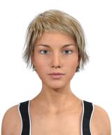 @Virtual Assistant V0.1